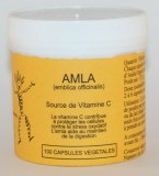 AMLA - 100 capsules,